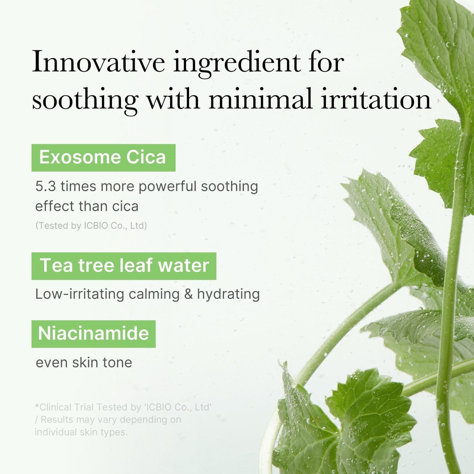 Exosome Cica Calming Toner Pads - Medicube
